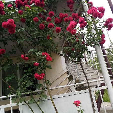 Hotel Mti House Kvesheti Esterno foto