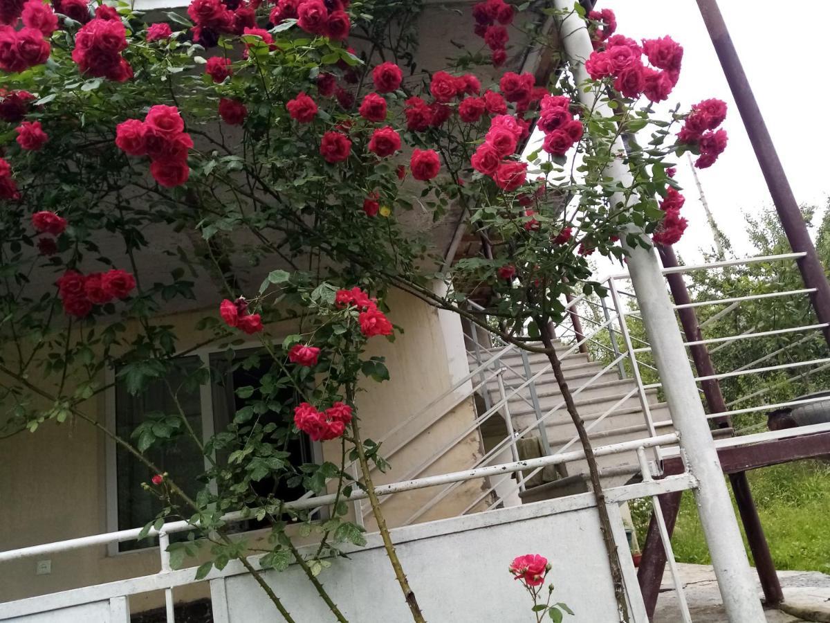 Hotel Mti House Kvesheti Esterno foto