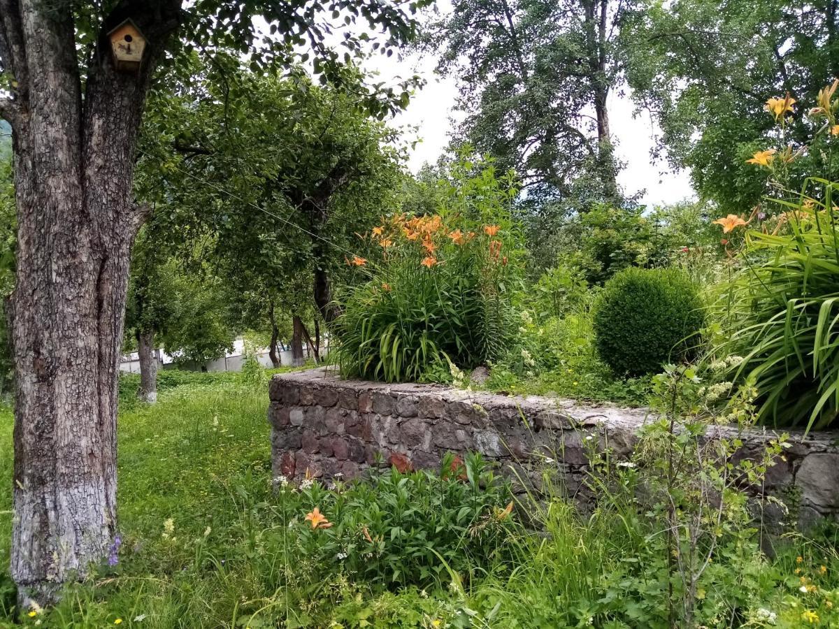 Hotel Mti House Kvesheti Esterno foto